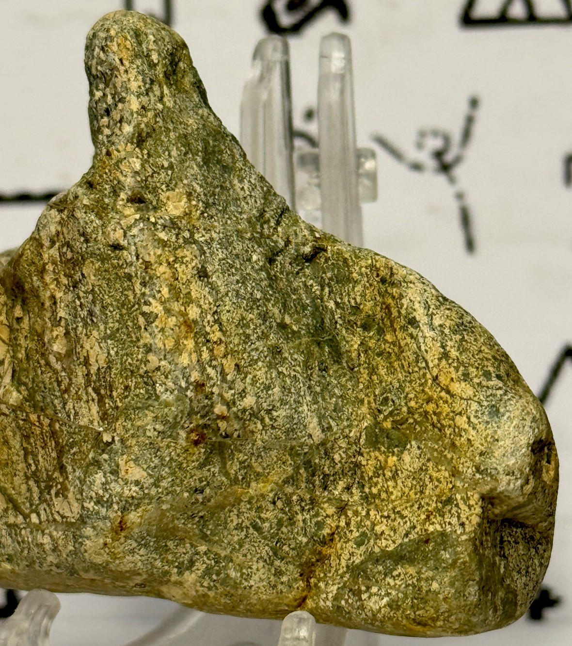 Native American Indian Authentic Artifact Stone Carved Effigy, 5.2 oz • VA