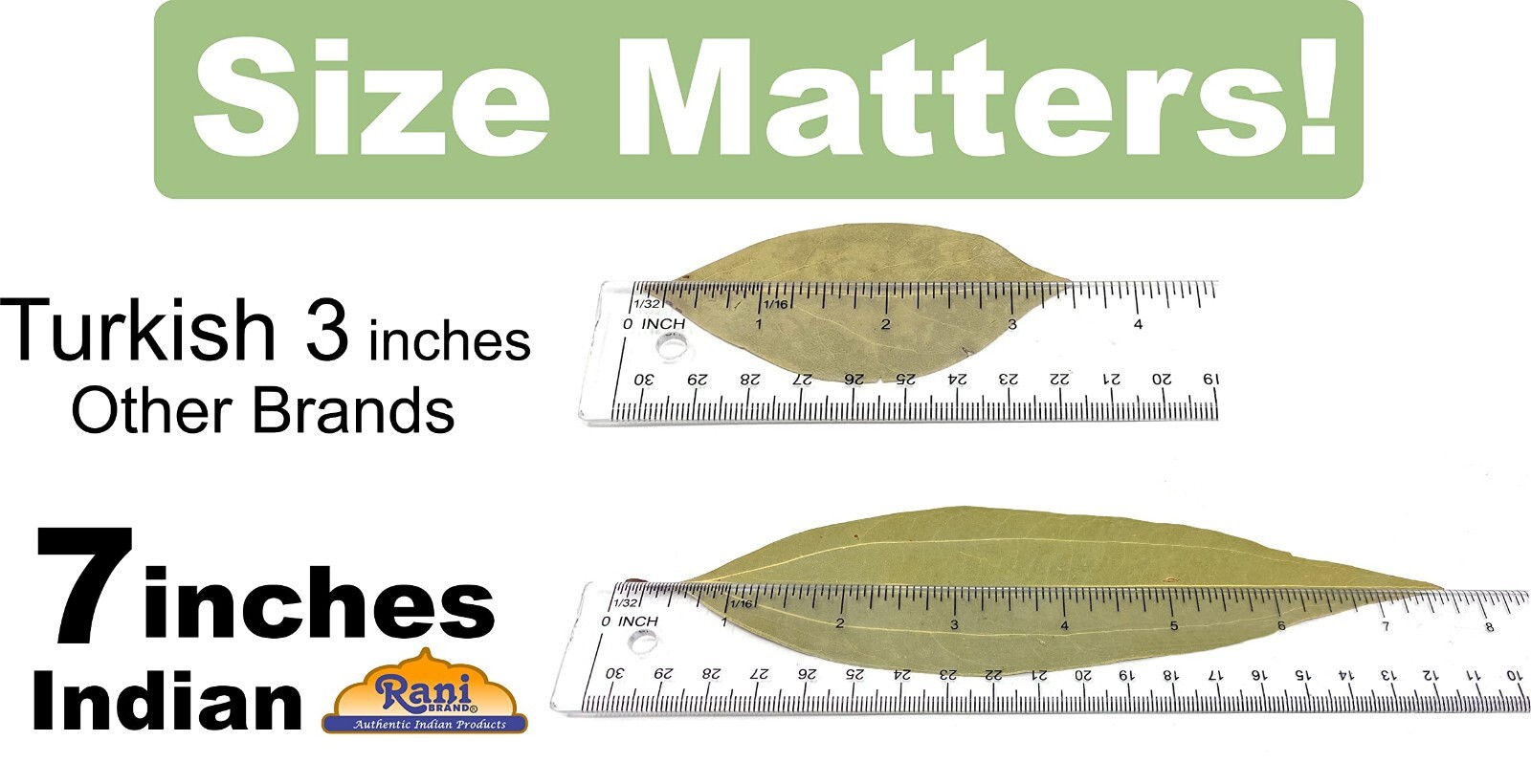 Rani Bay Leaf (Leaves) Whole Spice Hand Selected Extra Large 1.75oz (50g)