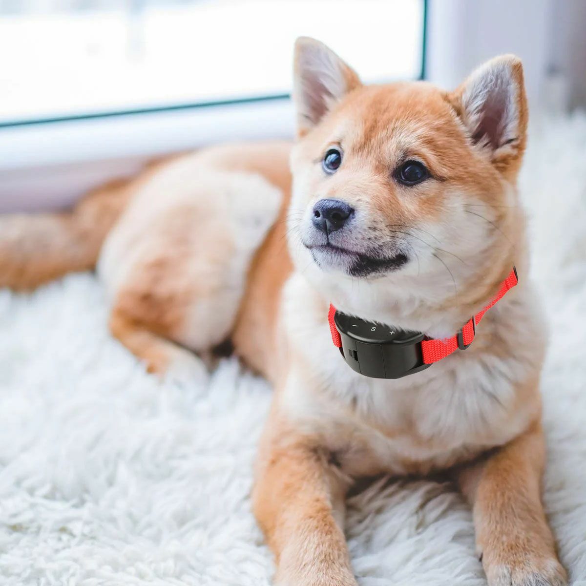 Automatic Anti Bark Barking Shock Control Collar Device Small Medium Large Dog