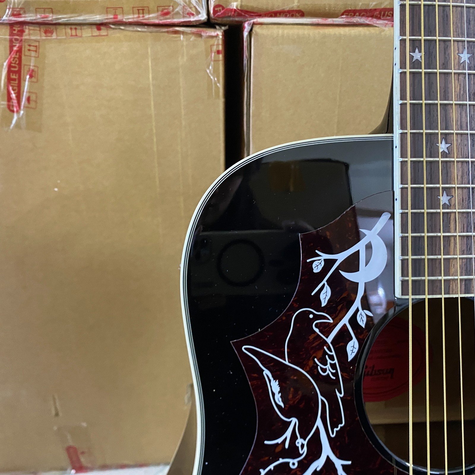 The Raven Acoustic Electric Guitar Black rosewood fretboard