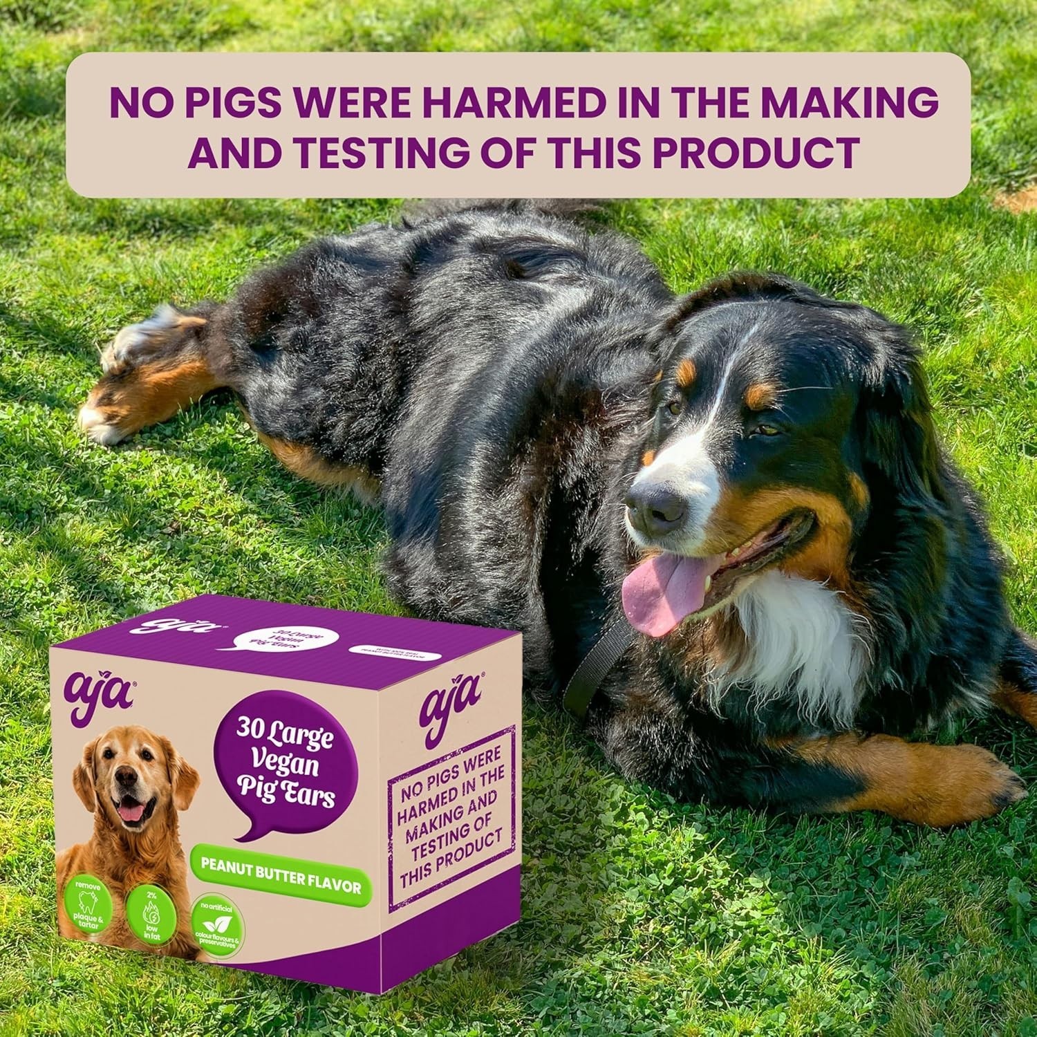 Vegan Pig Ears for Dogs 30 Pack, Made with 100% Real Peanut Butter Dental Chews