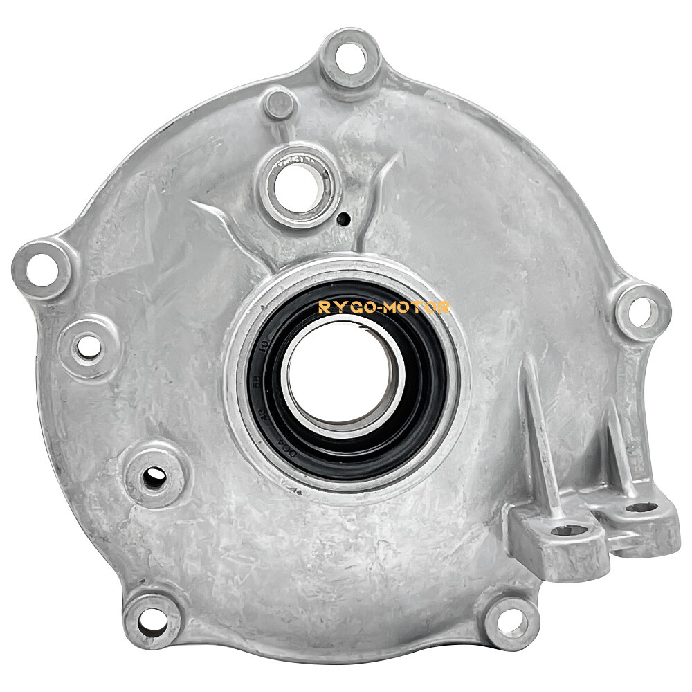 Rear Brake Panel & Shoes Kit For Honda TRX250EX TRX250X 2001-2024 43010-HM8-000