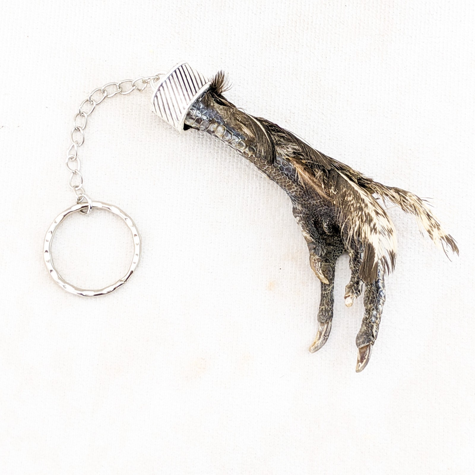 Real Chicken Foot Key Chain talisman voodoo pirate Taxidermy gift costume prop
