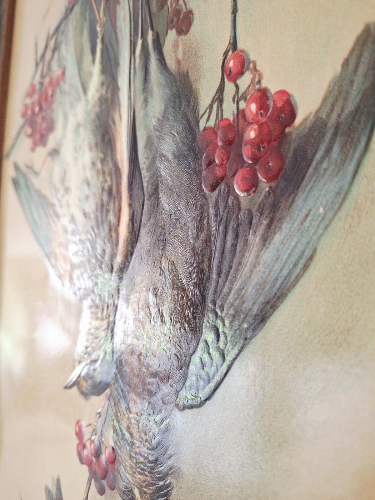 Game Birds Victorian Quail Cranberries Antique Embossed Chromolithograph