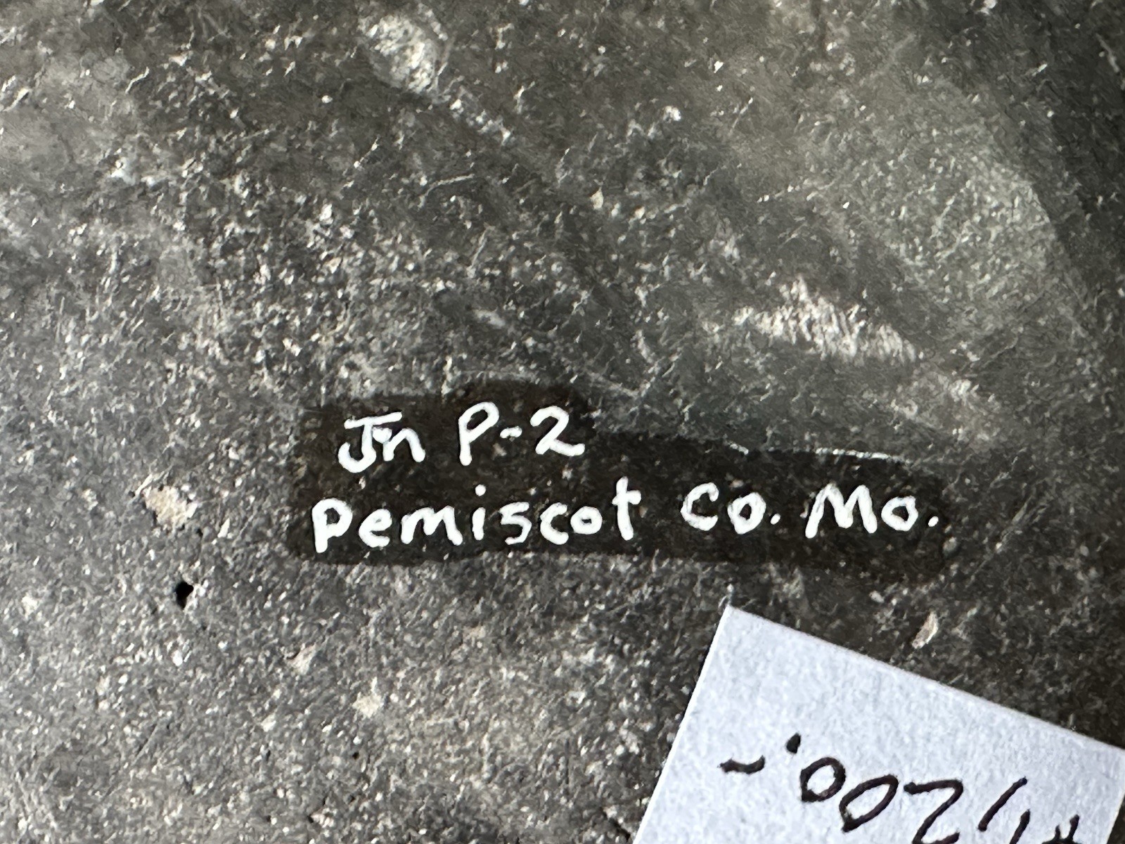 RARE FROG EFFIGY POTTERY BOWL, PEMISCOT CO. MISSOURI POT, EX GANT, FITZGERALD