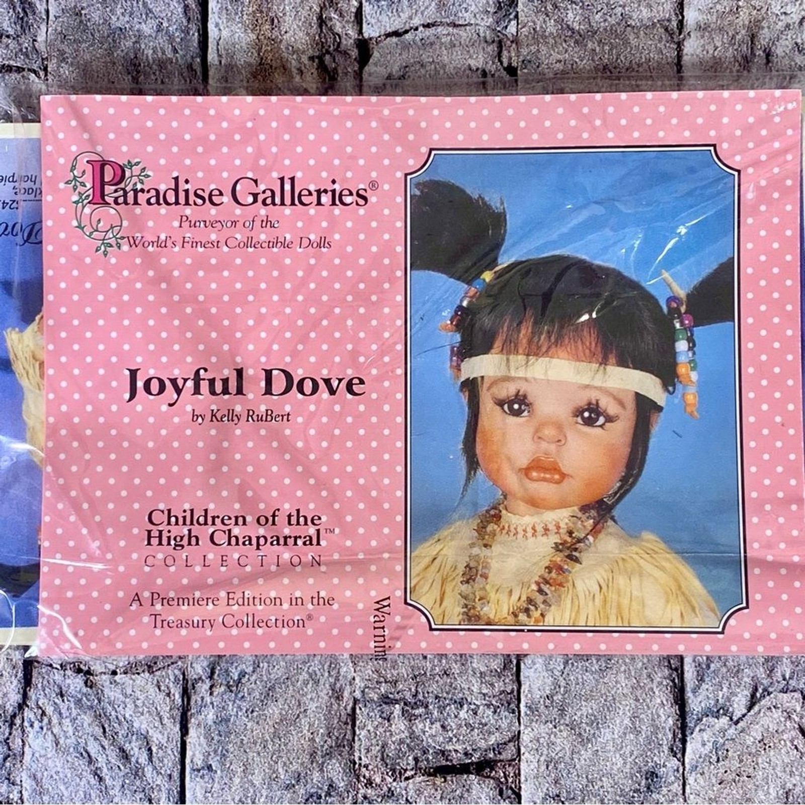 Paradise Galleries VTG Porcelain Doll Native American New In Box Joyful Dove