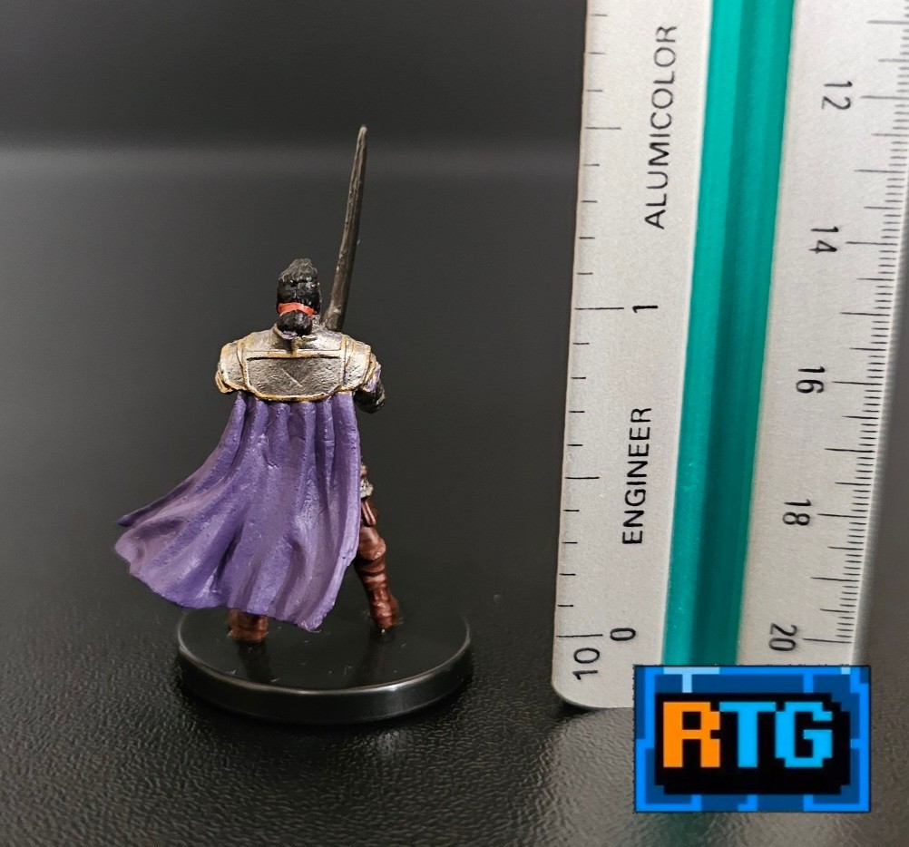 Dungeons & Dragons Human Paladin #23 Miniature, Used