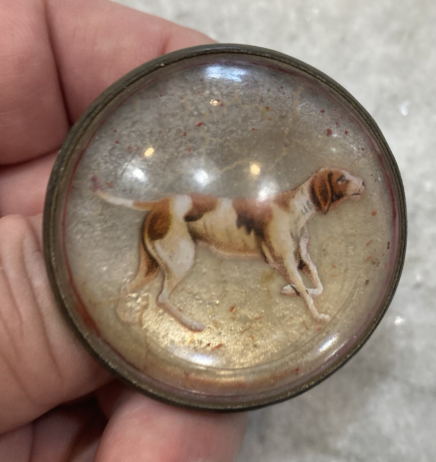 Antique Original Vintage Horse Bridle Rosette Bird Dog Brass And Glass Free Ship