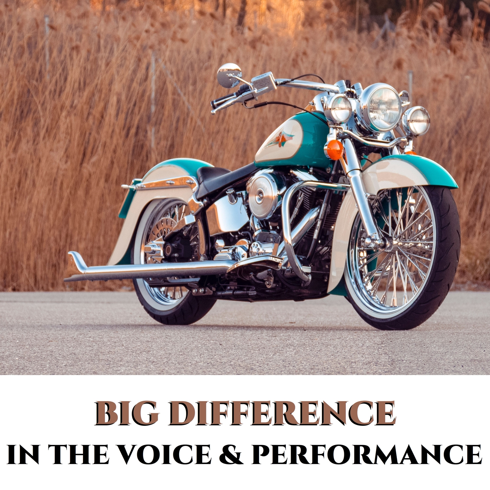 True Dual Fishtail Exhaust for Harley Softail 2000-2017 Model，W/ 39" fishtail