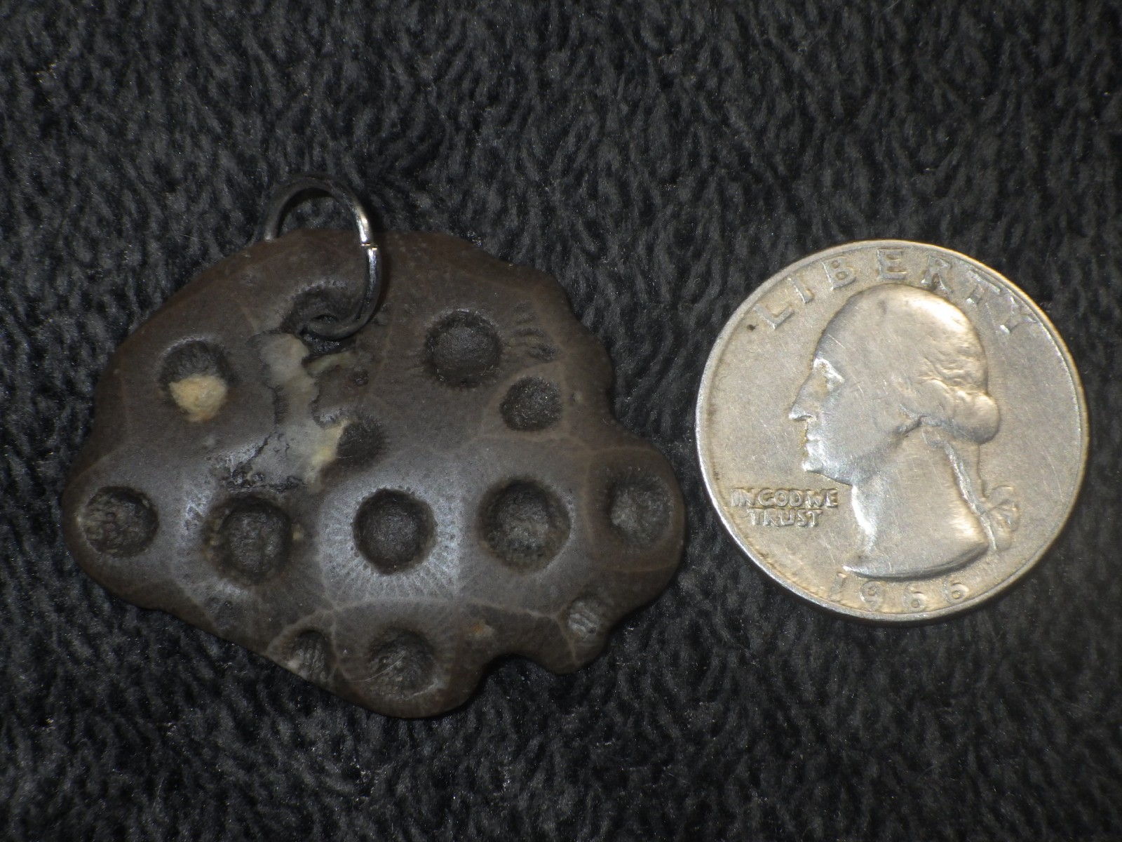 Petoskey Stone Pendant