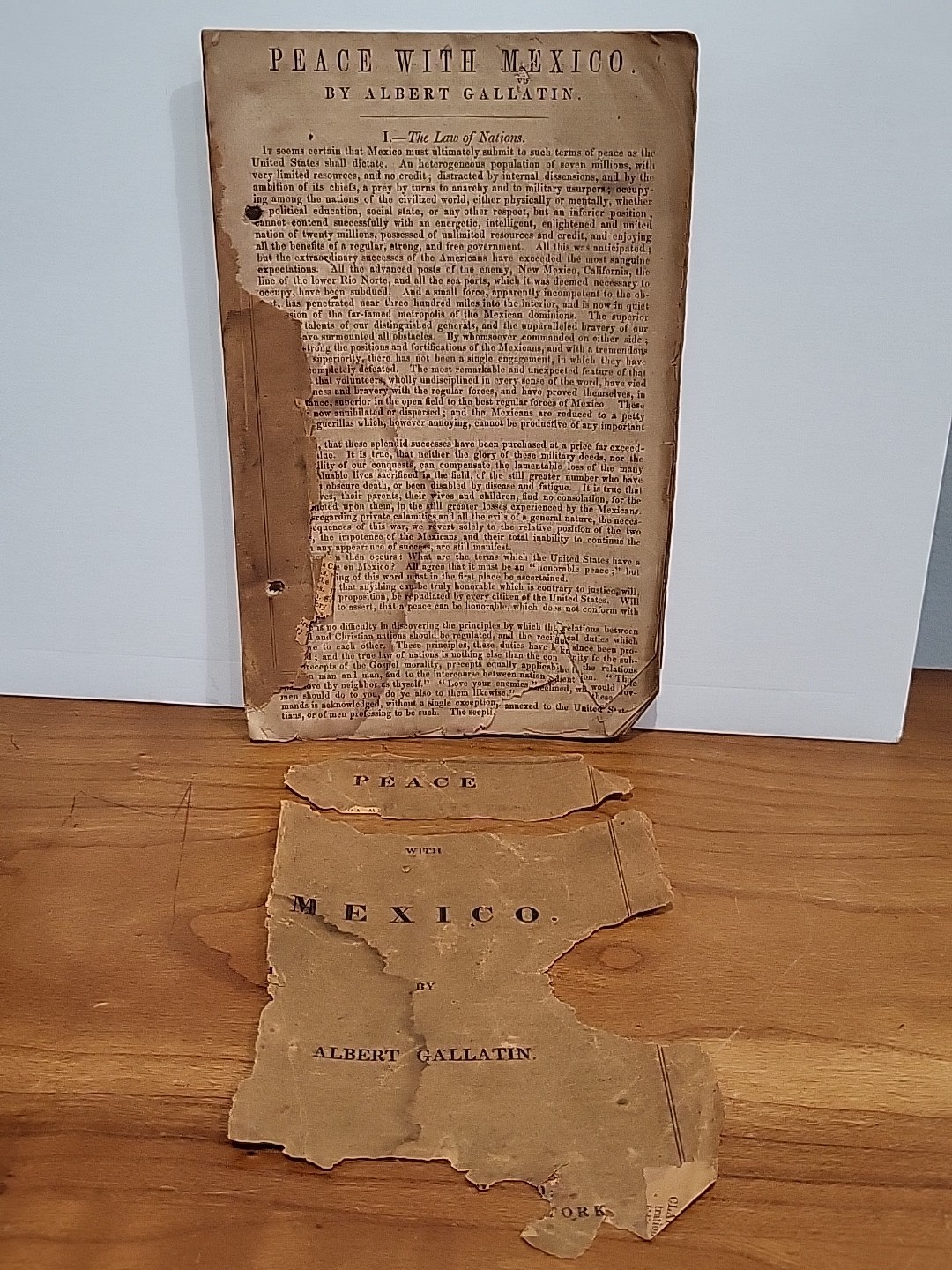 1847 First Edition Peace With Mexico Albert Gallatin ANTI-WAR Annexation Texas