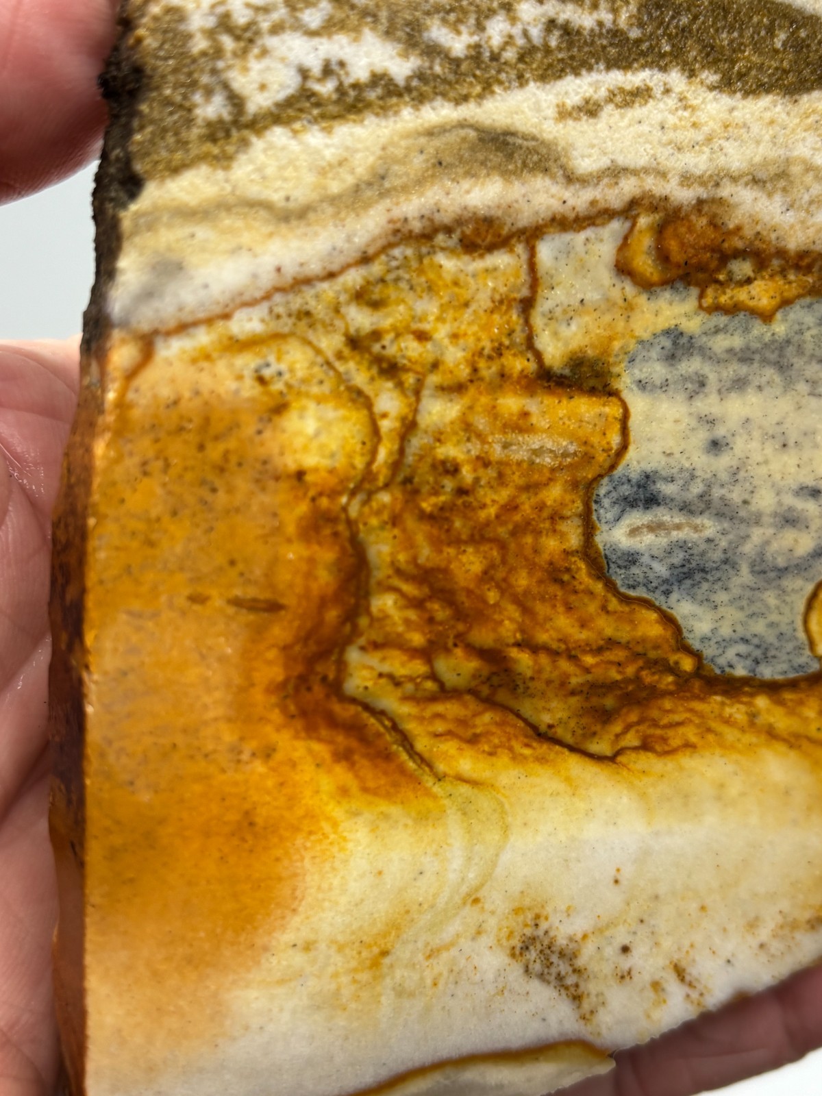 Disaster Peak Picture Jasper Slab Cabbing Lapidary Collecting Combo Ship Avail