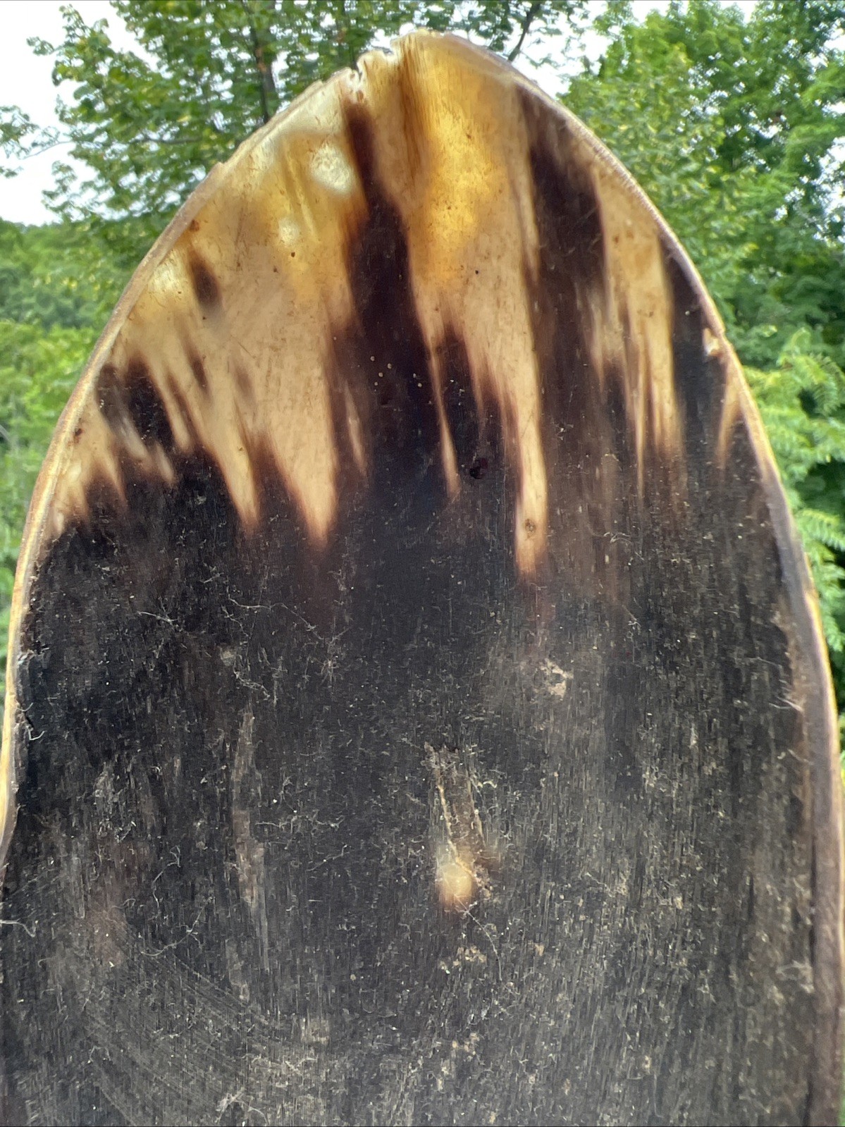 Original Native American Indian Hand carved Goat Horn Spoon; Late 19th Cent.