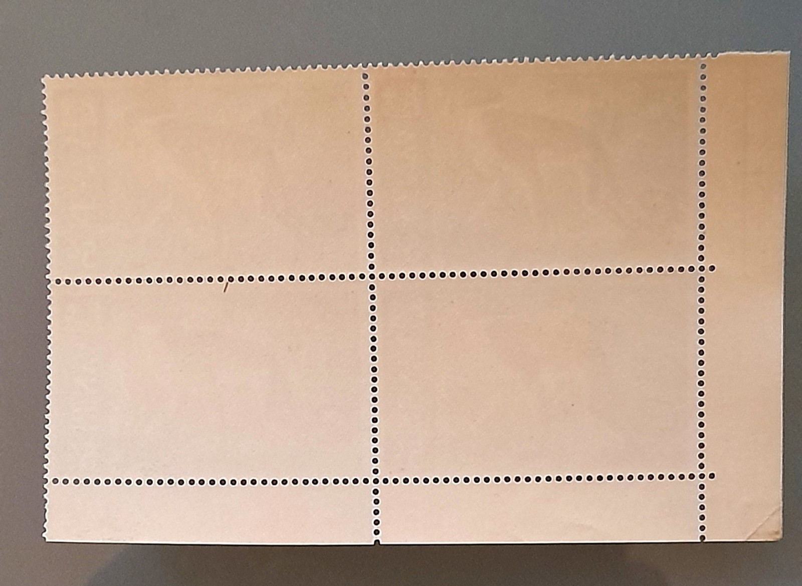 1966-69 Kenya BEAUTIFUL Animals MNH BLOCKS OF 4 of five values HARIASTAMP