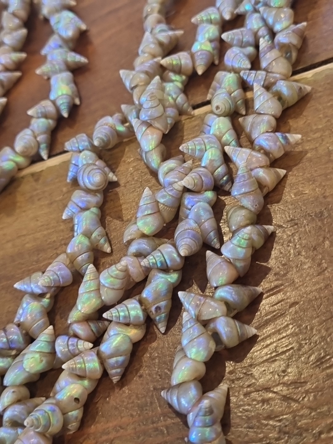 SUPERB VINTAGE TASMANIAN ABORIGINAL MAIREENER SHELL NECKLACE LONG 123cms 1930s