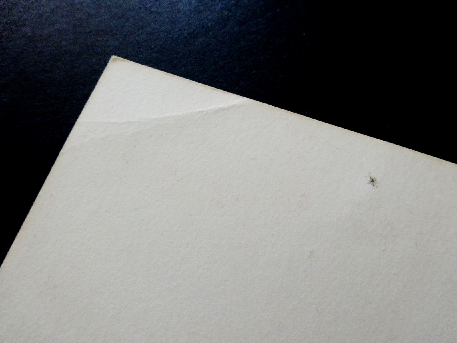 Bill Graham Fillmore Postcard Handbill BG 36 Buffalo Springfield Neil Young 1966