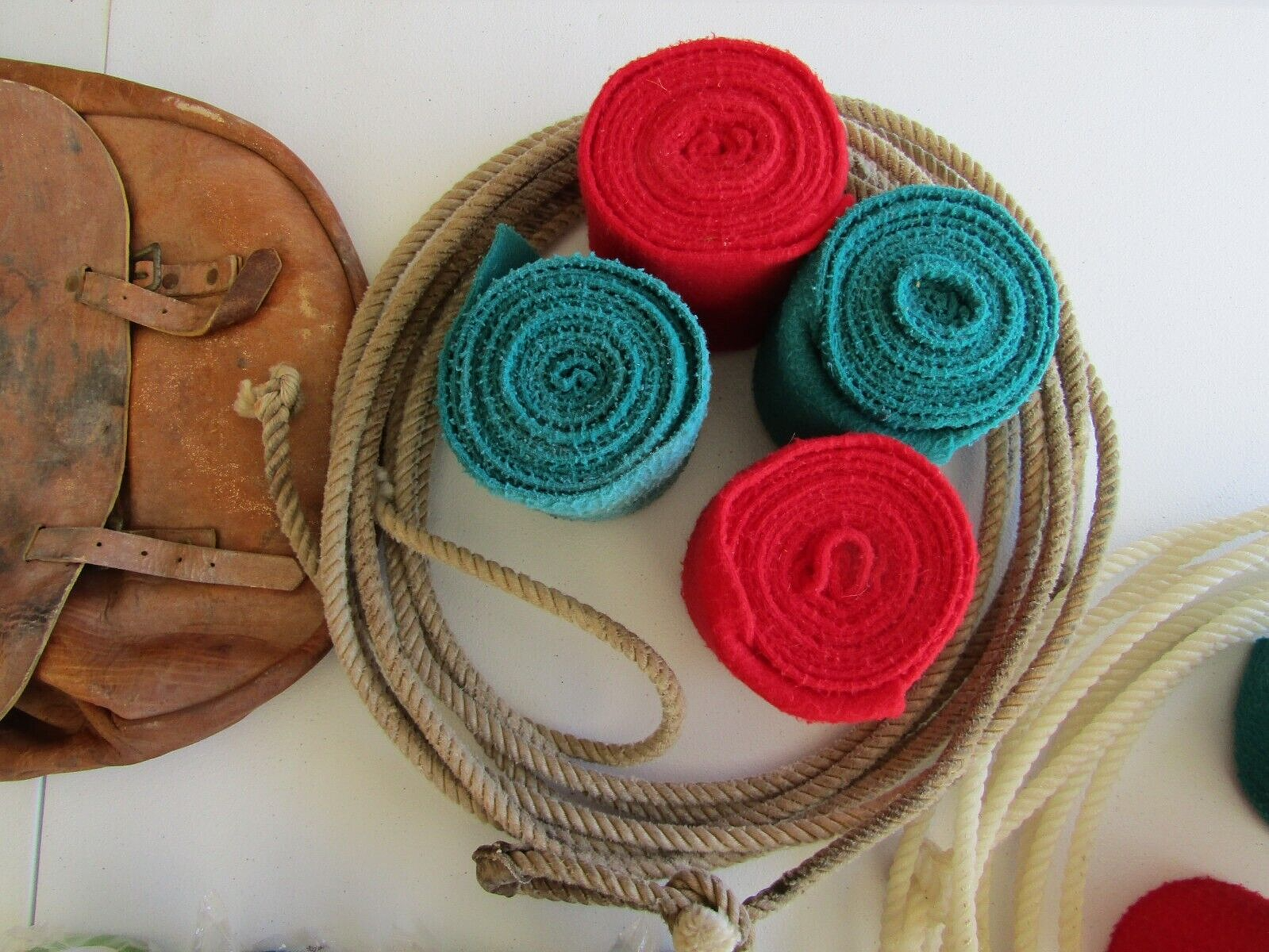 Horse riding and care equipment large lot !