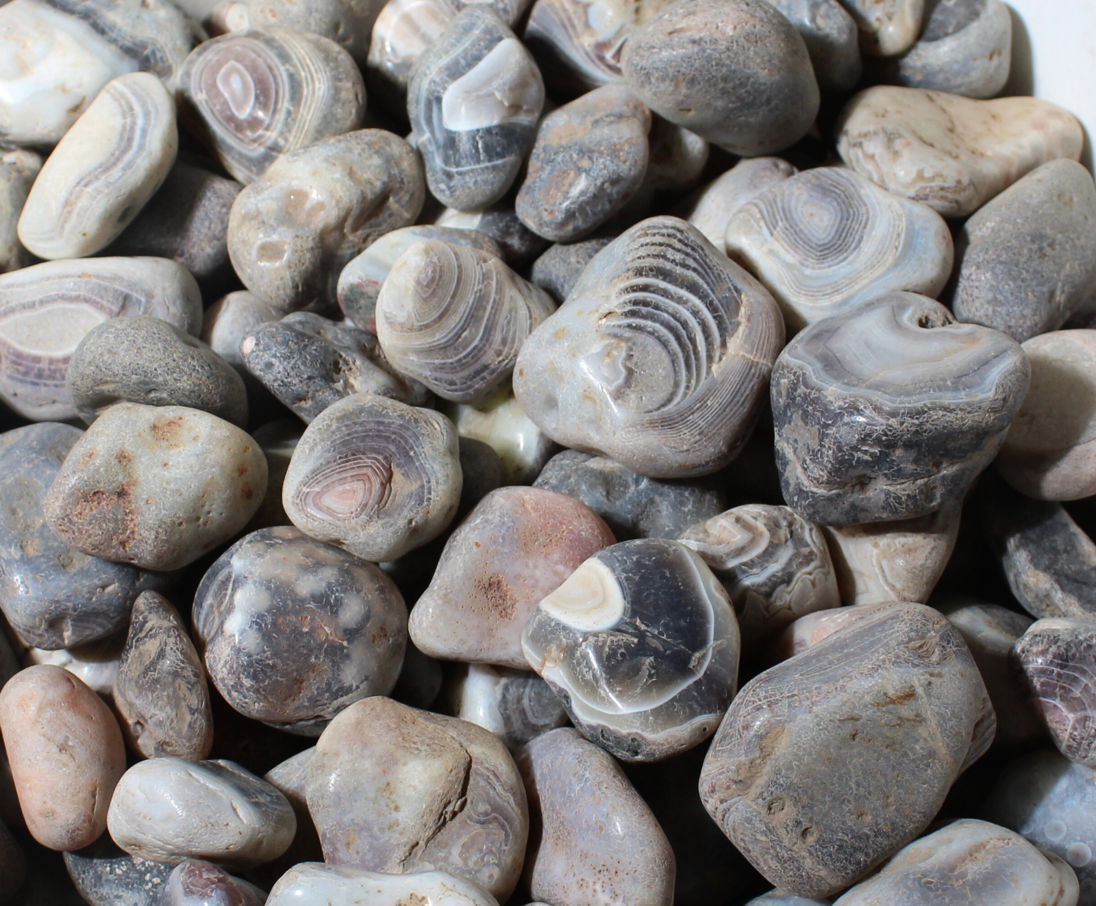 Gray Botswana Agate - Rough Rocks for Tumbling - Bulk Wholesale 1 LB+ options