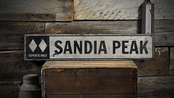 Expert Only Ski Sign, Double Diamond Ski Sign -Distressed Wooden Sign
