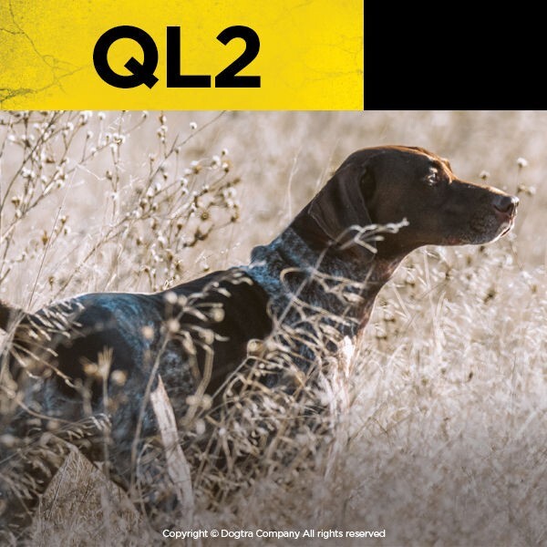 Dogtra QL2 Launcher - Remote Training and Hunting Companion