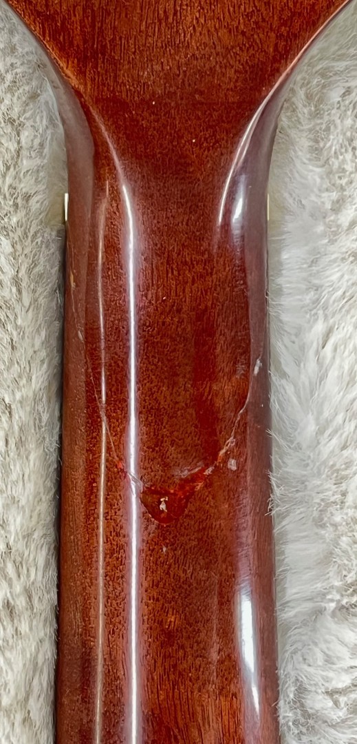 Luna Guitars Vista Mustang Wild Horse Body Acoustic Electric Guitar