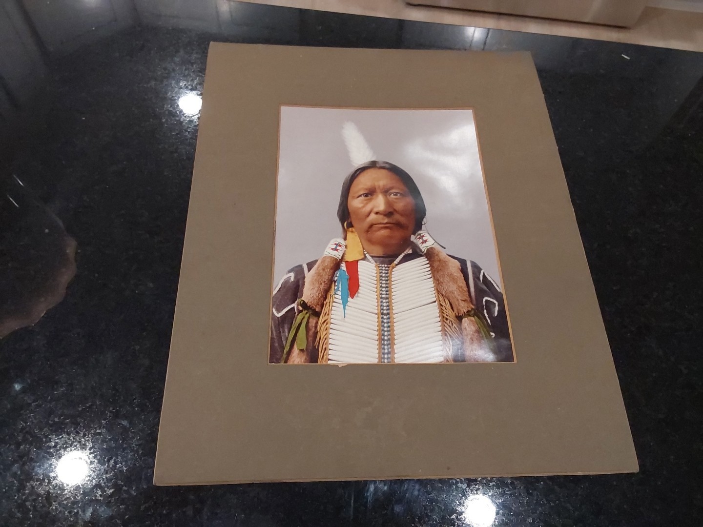 Native American Utes Chief Buckskin Charlie Photochrom Detroit Photographic Co.
