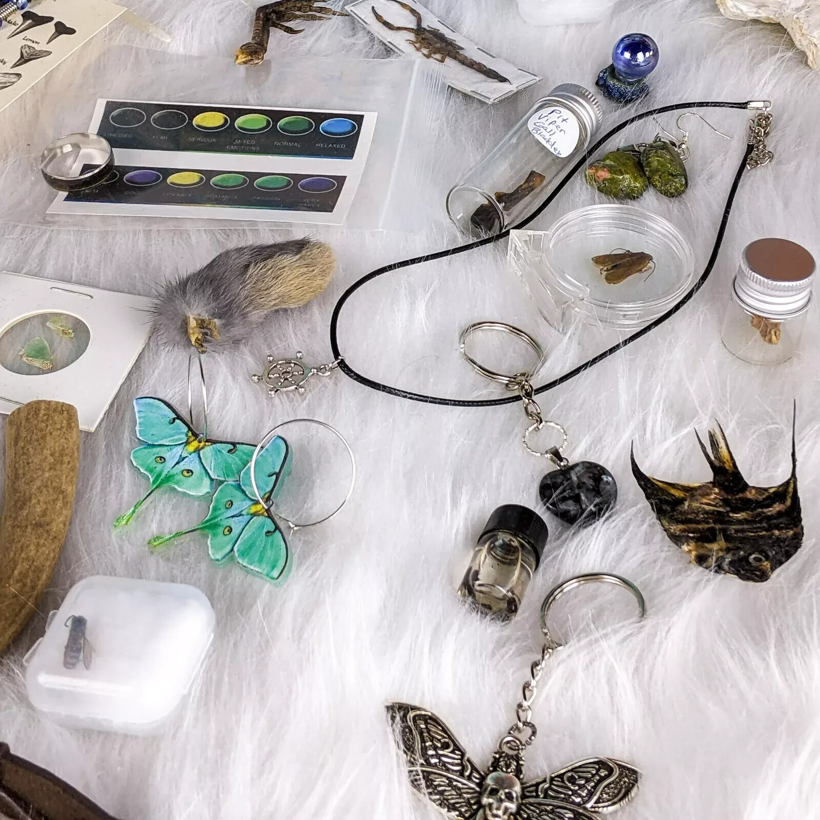 MYSTERY Lot BOX Small Curiosity or Oddity box 4 / 6 item gift surprise package