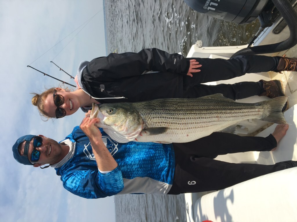 Rolling Barrel Swivel - 42lb-330lb - #1-#4, #6, #8, 1/0-6/0 - 50 & 100 pack