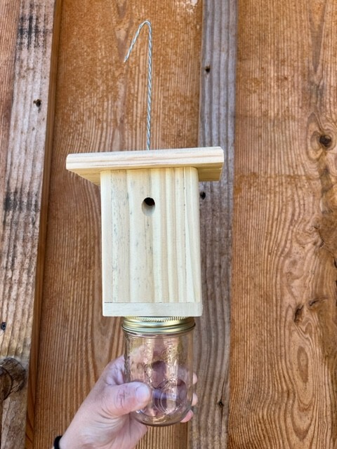 Best Carpenter Bee Trap Set of 6 PRESSURE TREATED Handmade