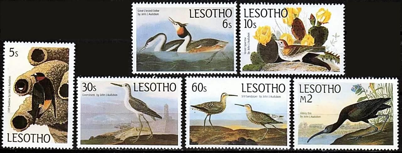 LESOTHO 1985 AUDUBON BIRDS mnh 💲FREE SHIPPING💲
