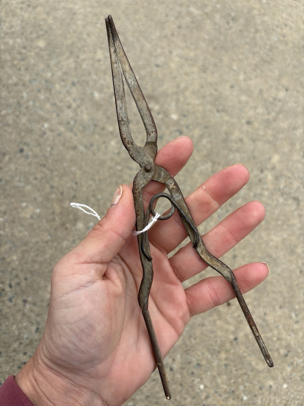 Antique Primitive Crucible Tong Lab Tool Vintage Science Pinchers Rustic Decor