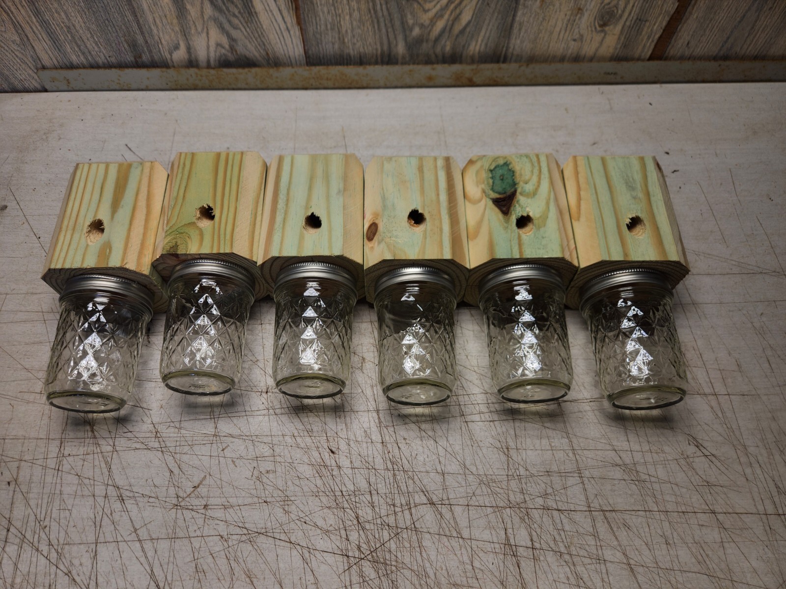 lot of 4 carpenter bee traps