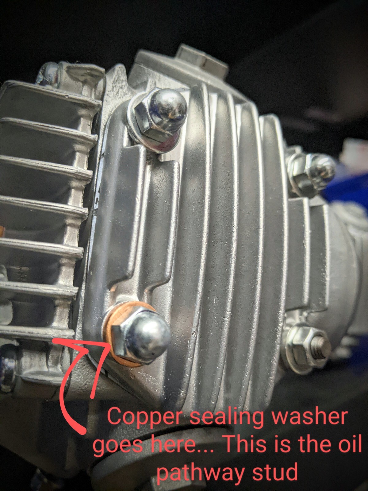 Cylinder Head - Low Profile Japanese Acorn Nut Kit - Honda Z50 CT70 SL70 ATC70