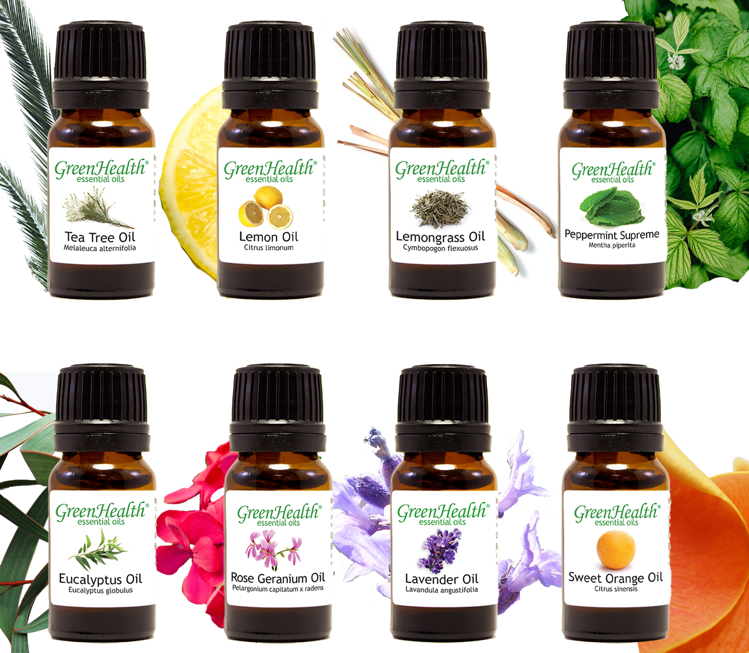 Essential Oils 10 ml - Pure & Natural - 50+ Popular Oils - GreenHealth