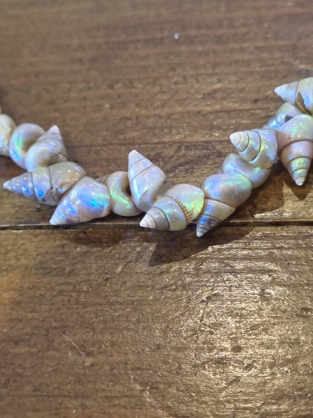 SUPERB VINTAGE TASMANIAN ABORIGINAL MAIREENER SHELL NECKLACE LONG 123cms 1930s