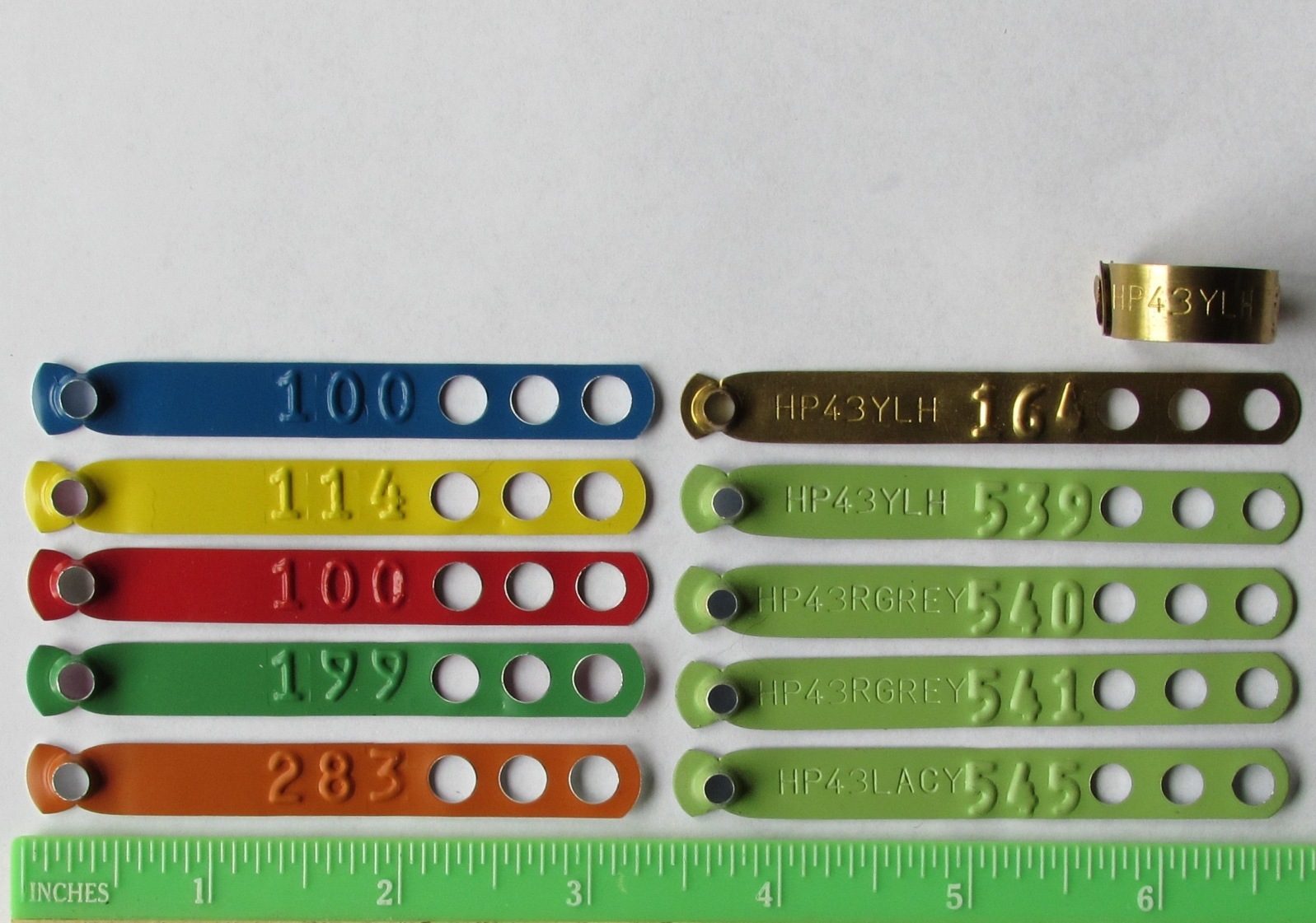 Leg Band Application Pliers (1pc) for Chicken Poultry Identification Leg Rings