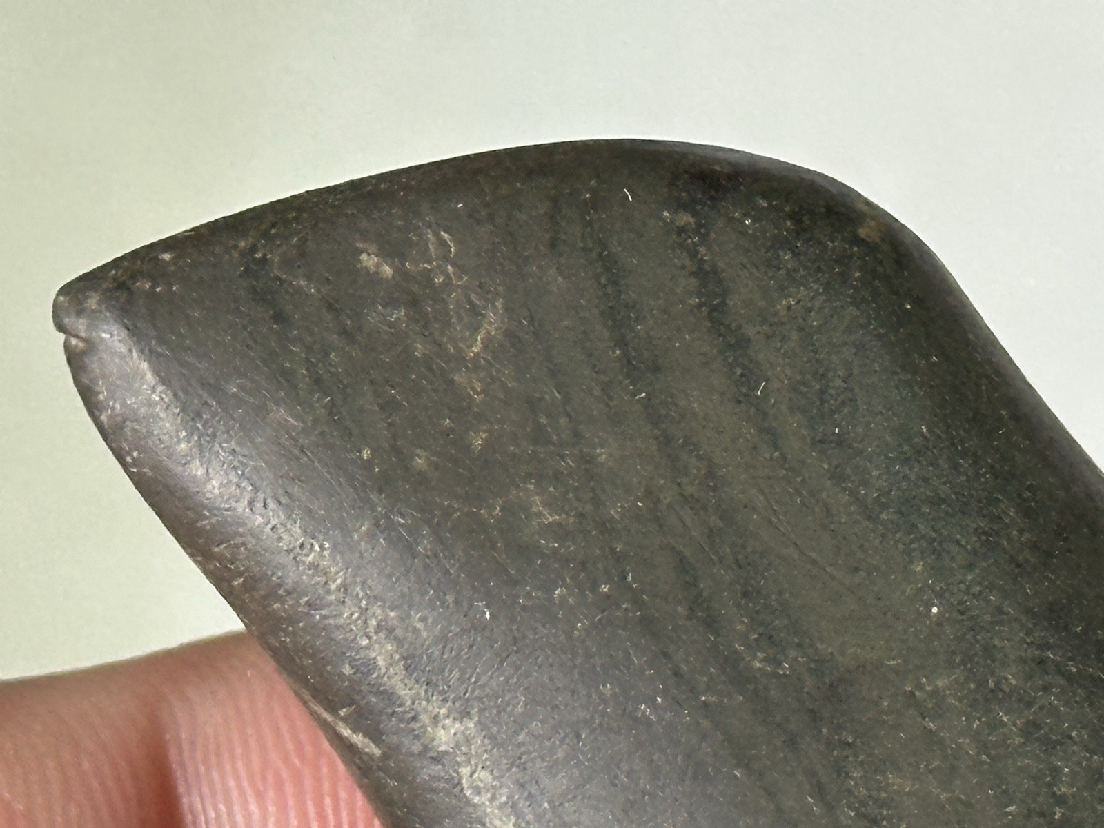 RARE AUTHENTIC BANDED SLATE BIRDSTONE FROM ASHLAND CO. OHIO, MOTLEY COA