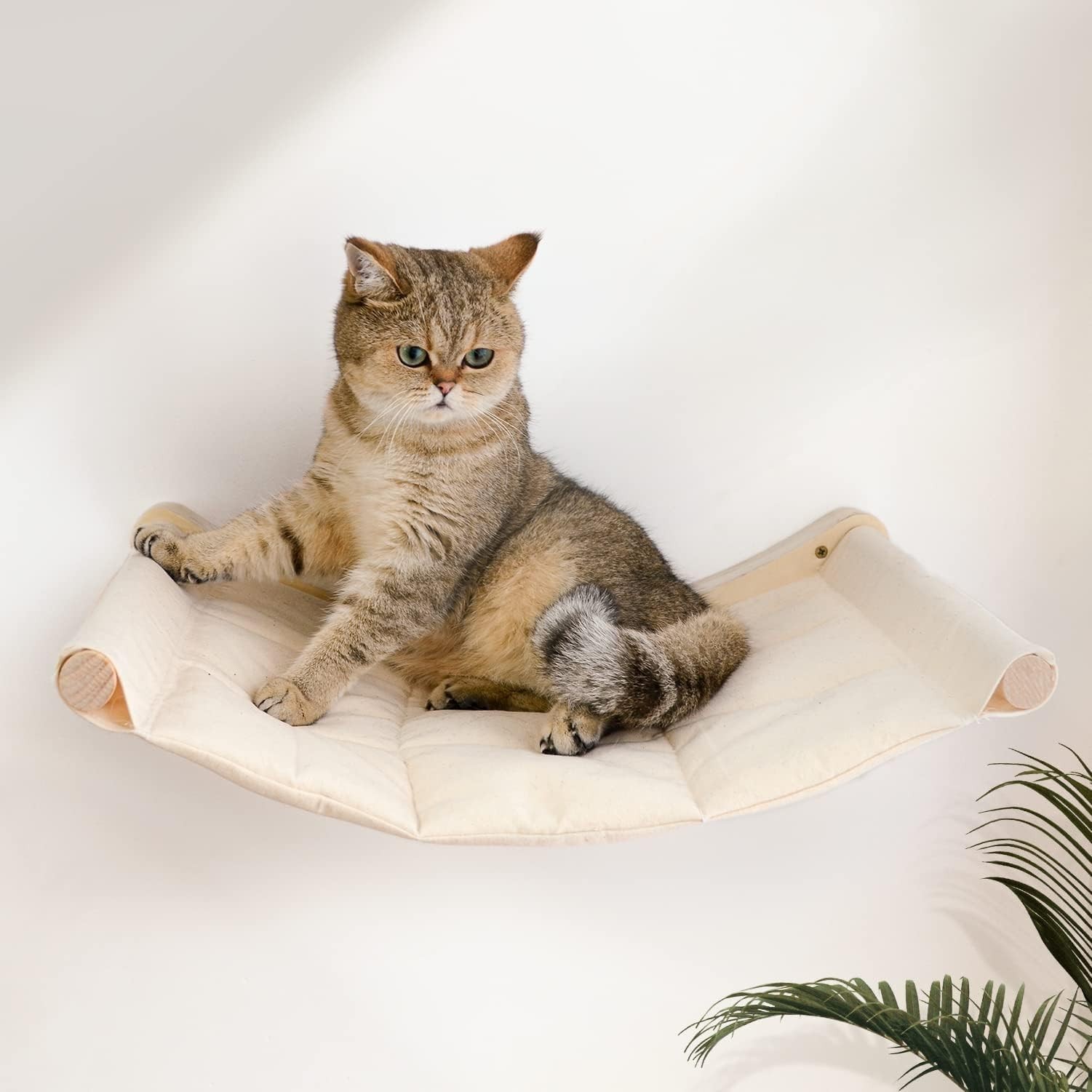 Cat Hammock Wall-Mounted Cat Bed Cat Climbing Wall Cat Furniture for Indoor Cats
