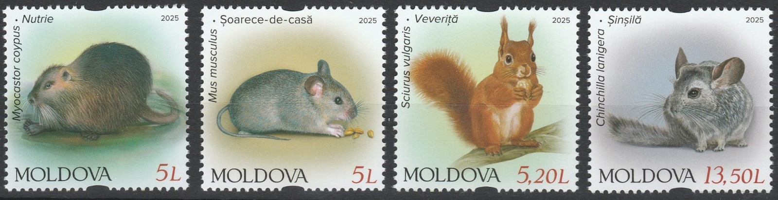 Moldova 2025 Fauna, Animals, Rodents 4 MNH stamps
