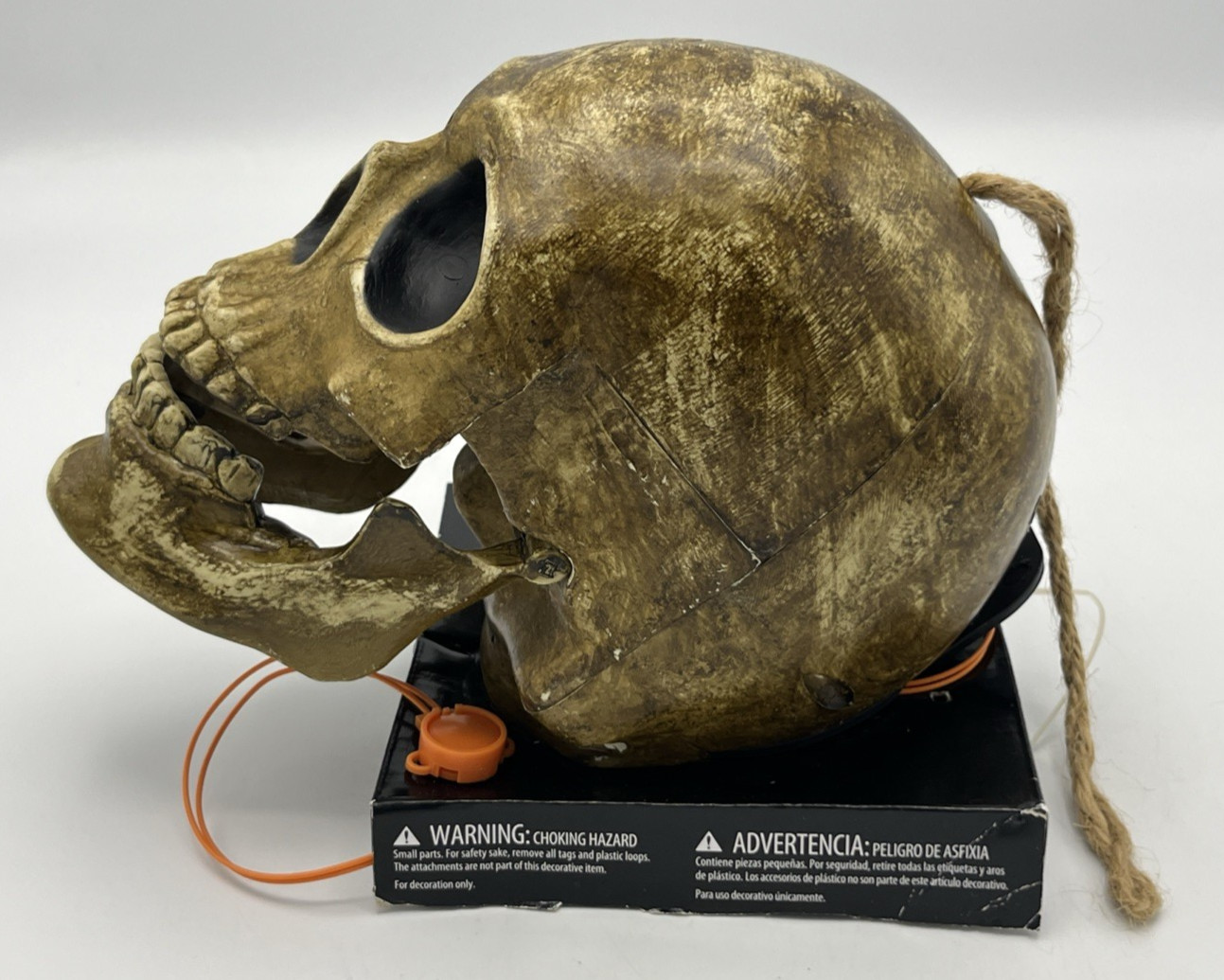 Skull Talking Mechanical Tested Works