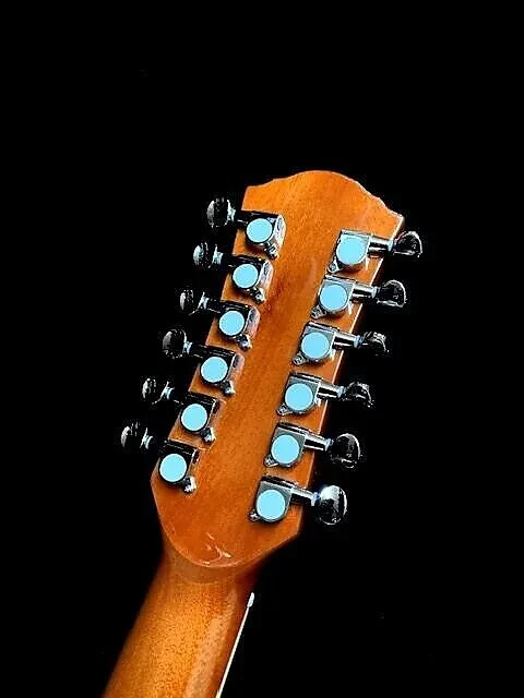 GREAT PLAYING NEW 12 STRING ACOUSTIC DOBRO RESONATOR GUITAR