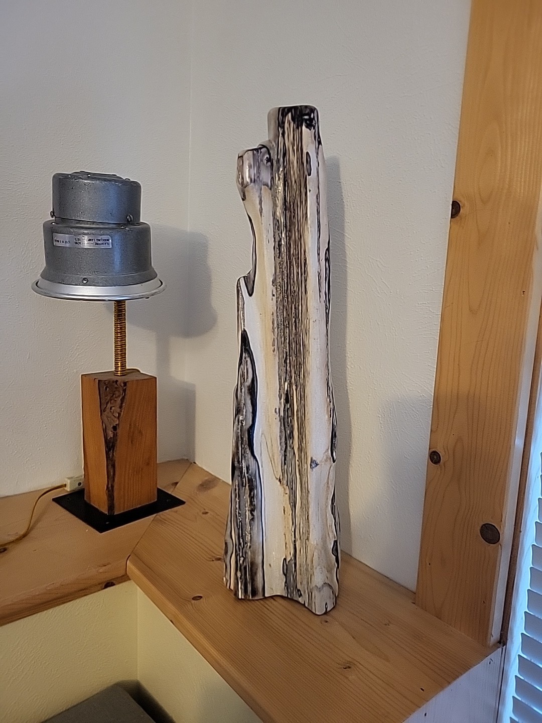 Polished Petrified Wood Fossil Wood Rare Chocolate Calcite Freeform 18.5 inches