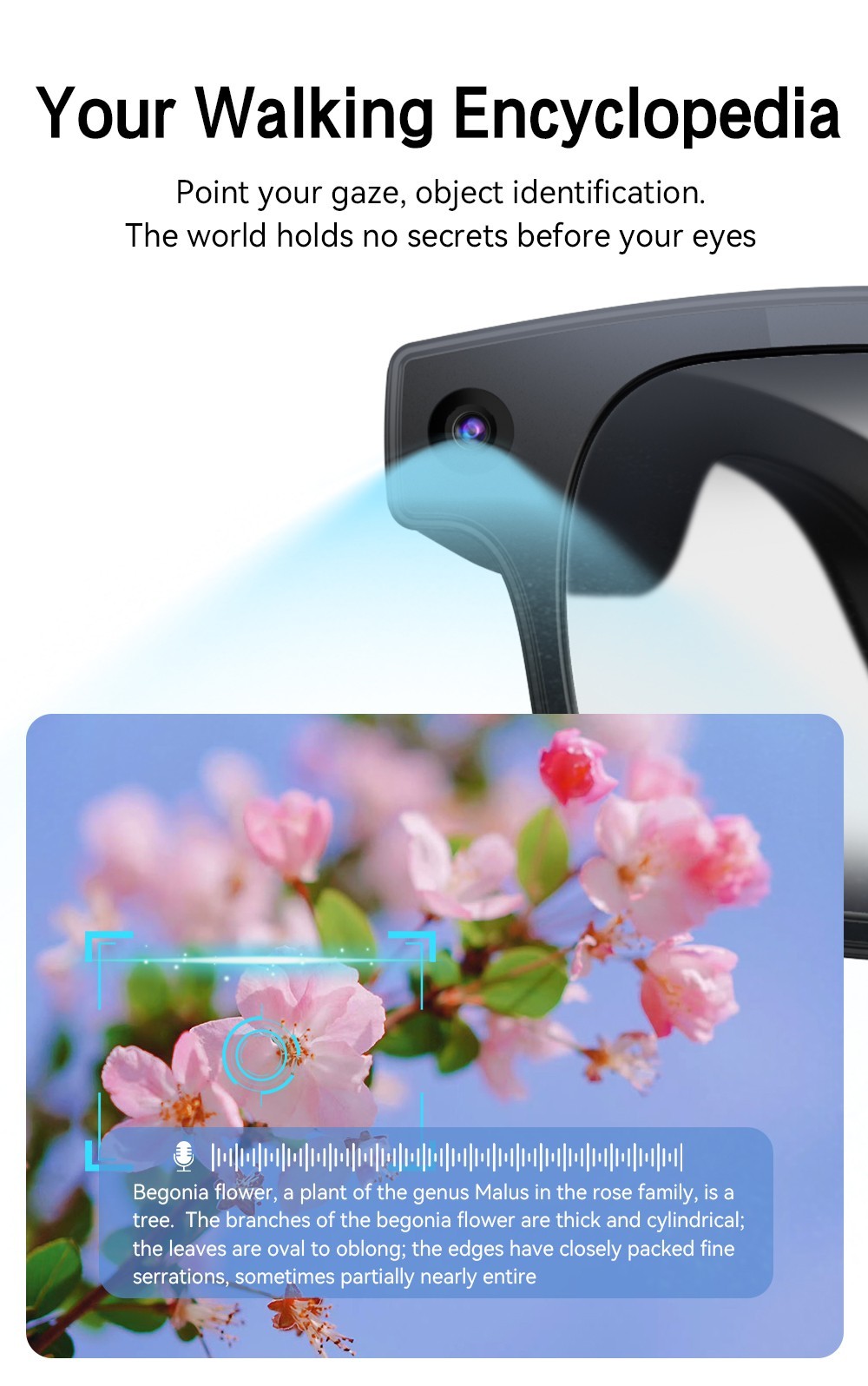 AI Smart Glasses 8MP Camera 4k HD Video Real-Time Translation Image Recognition