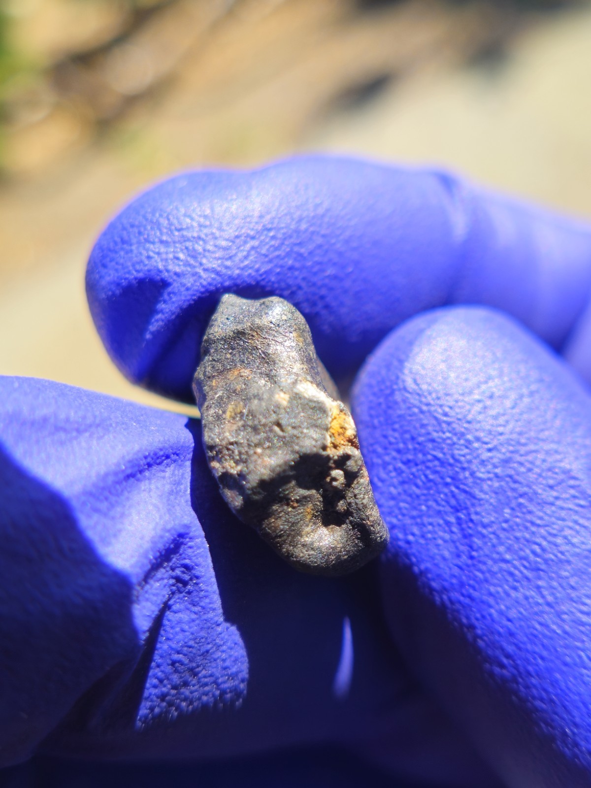 Chelyabinsk Meteorites 2.213g Fresh Crusted Individual COA Russia