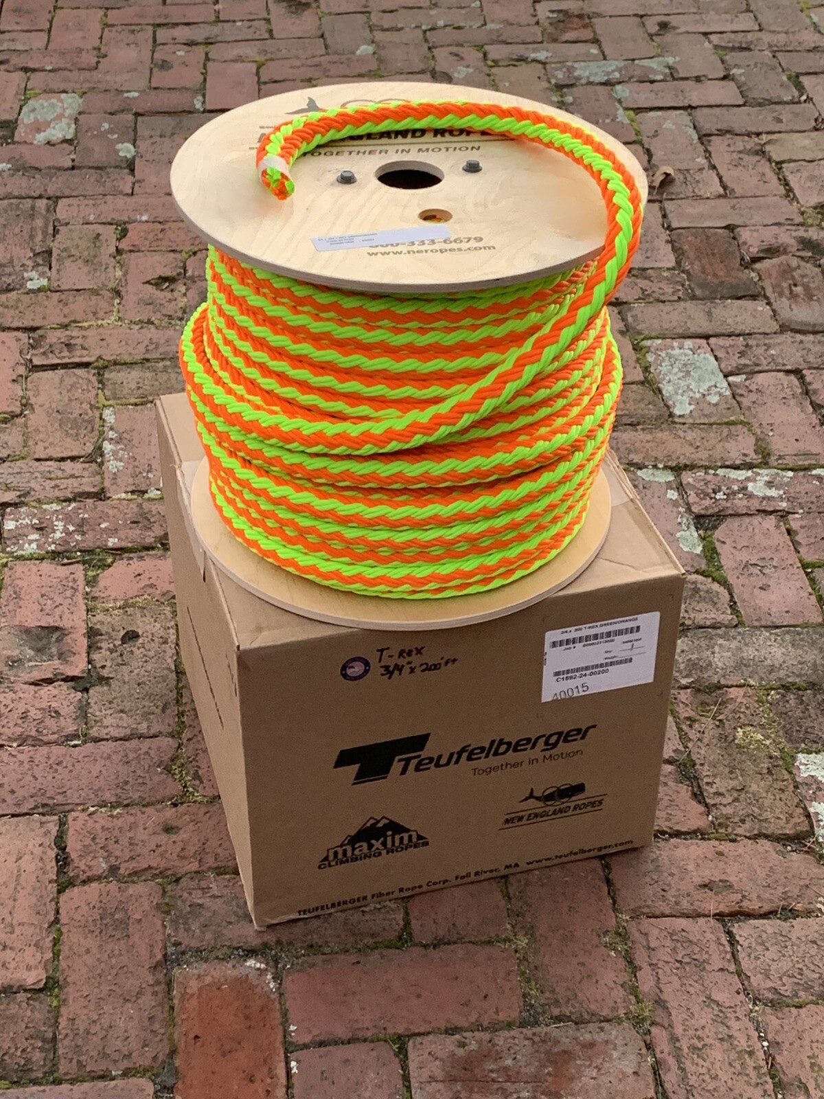 Ring Sling 14ft x 3/4in tREX arborist rigging