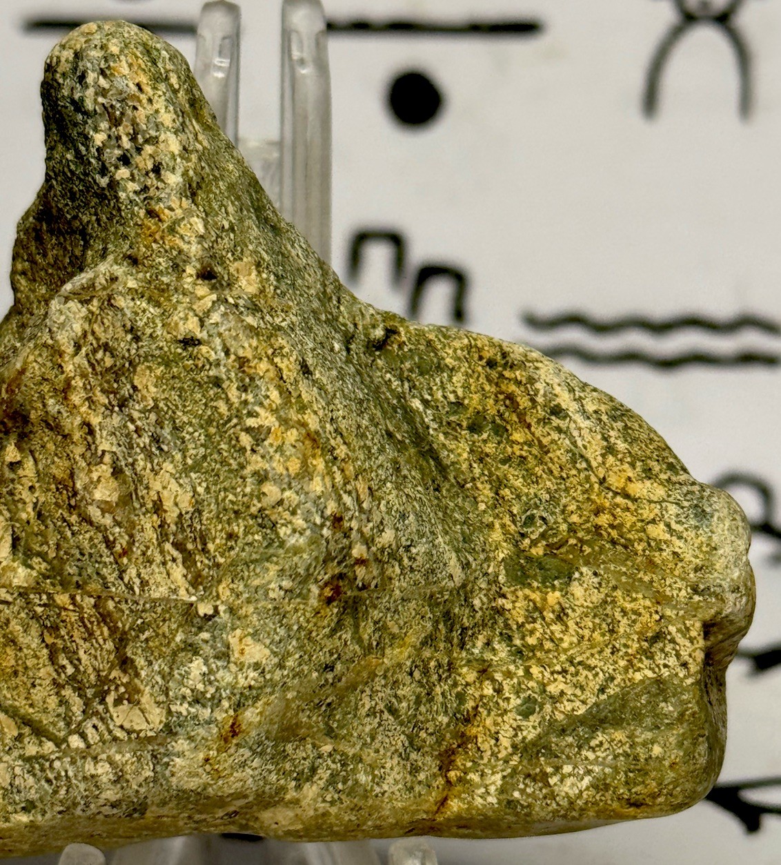 Native American Indian Authentic Artifact Stone Carved Effigy, 5.2 oz • VA