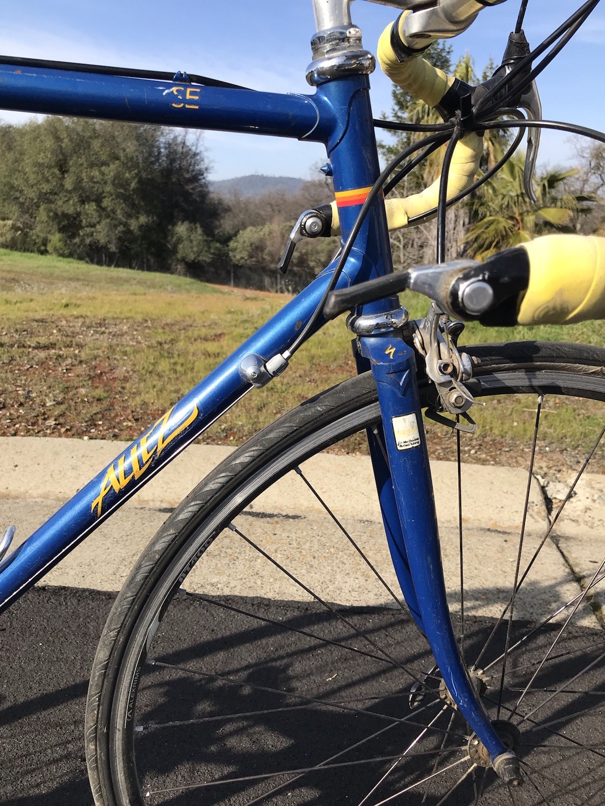 Vintage Specialized Allez SE Jim Merz Edition Lugged Steel Racing Bicycle Bike