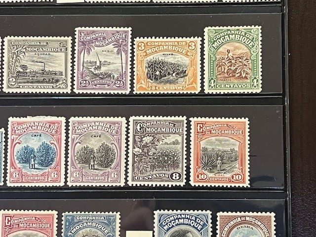 Mozambique Company 1892-1940 Nice Collection Mint Hinged in Stock Sheet 7A080S