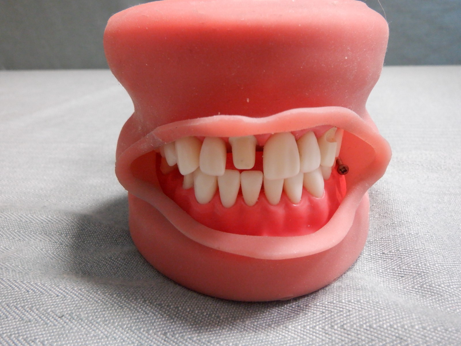Nissin Typodont Dental Teeth