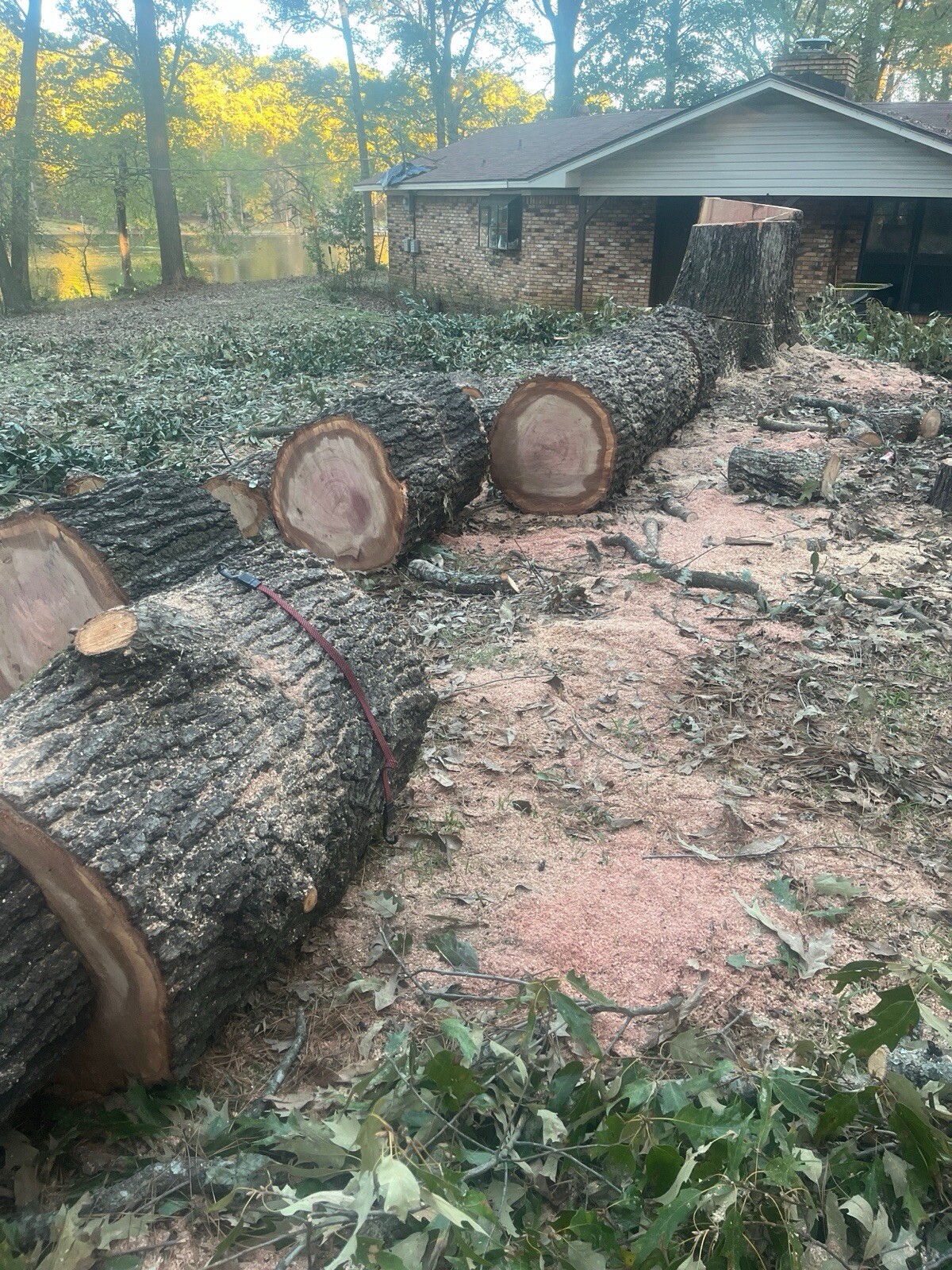 Red Oak, White Oak, And Hickory Firewood $150 Half Cord $300 Full Cord